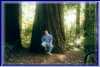 Jon_sitting_on_Sequoia