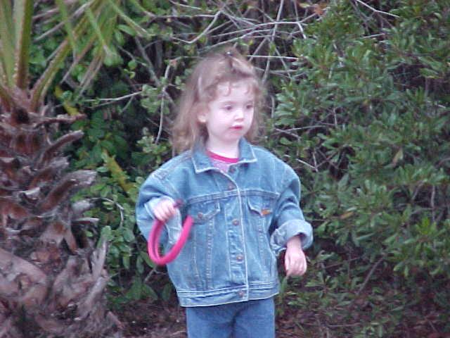 Image 25 of 26  -  48 kB