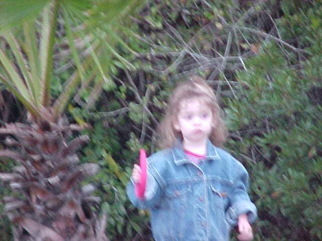 Image 26 of 26  -  41 kB