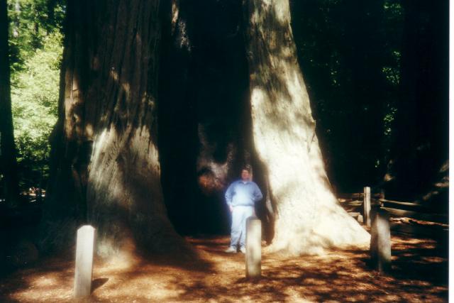 Jon_in_Sequoia2
