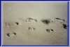Grace_and_Tricia_footprints