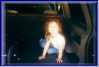 Grace_in_truck