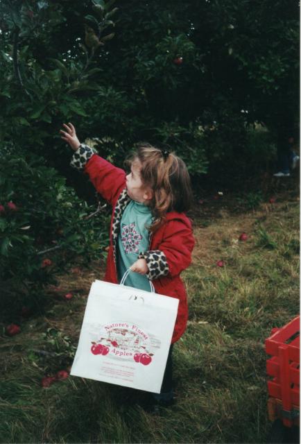 Grace-apples