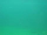 100-0036_MVI