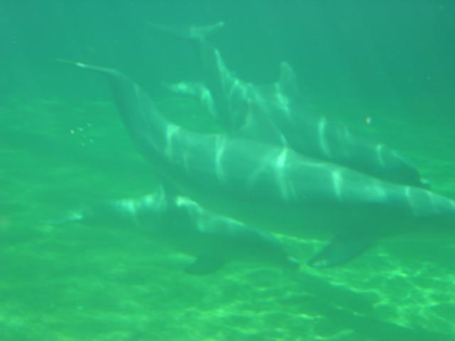 100-0037_IMG