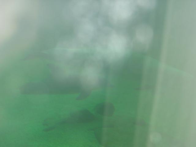 100-0038_IMG