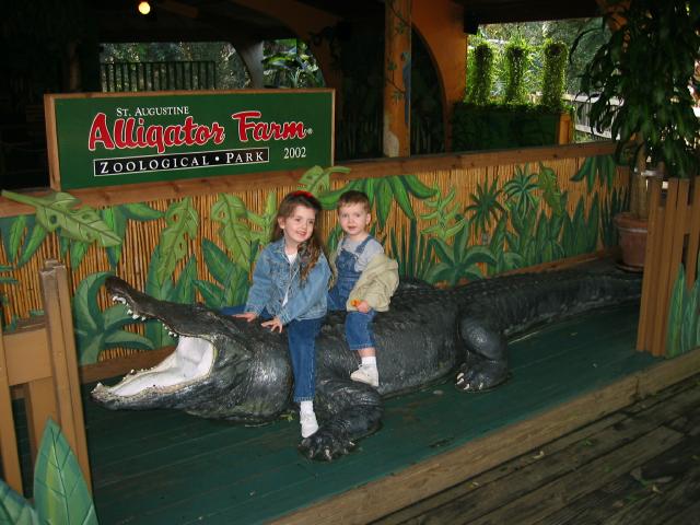 100-0045_IMG