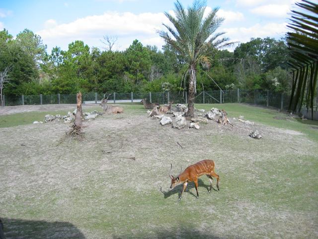 100-0053_IMG