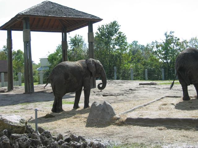100-0060_IMG