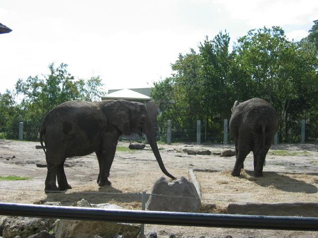 100-0063_IMG