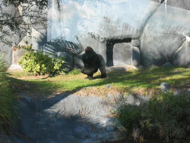 101-0125_IMG