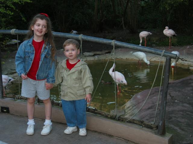101-0135_IMG