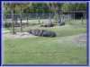 100-0054_IMG