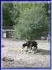 100-0056_IMG