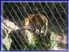 100-0077_IMG