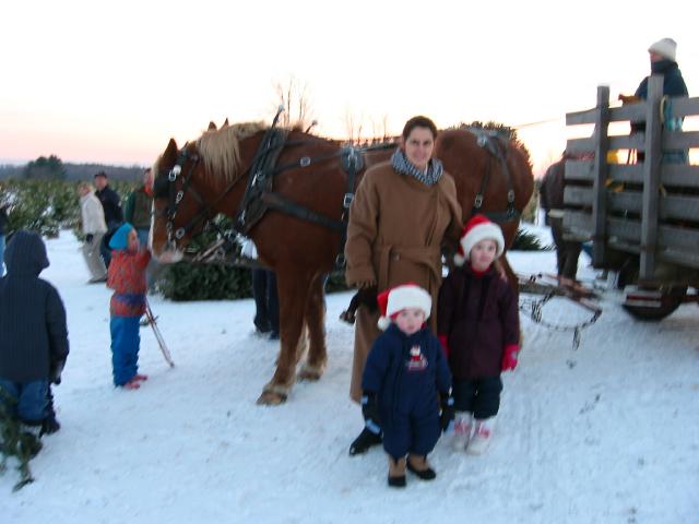 100-0035_IMG