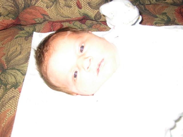 100-0027_IMG