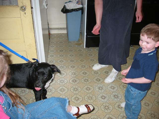 100-0073_IMG