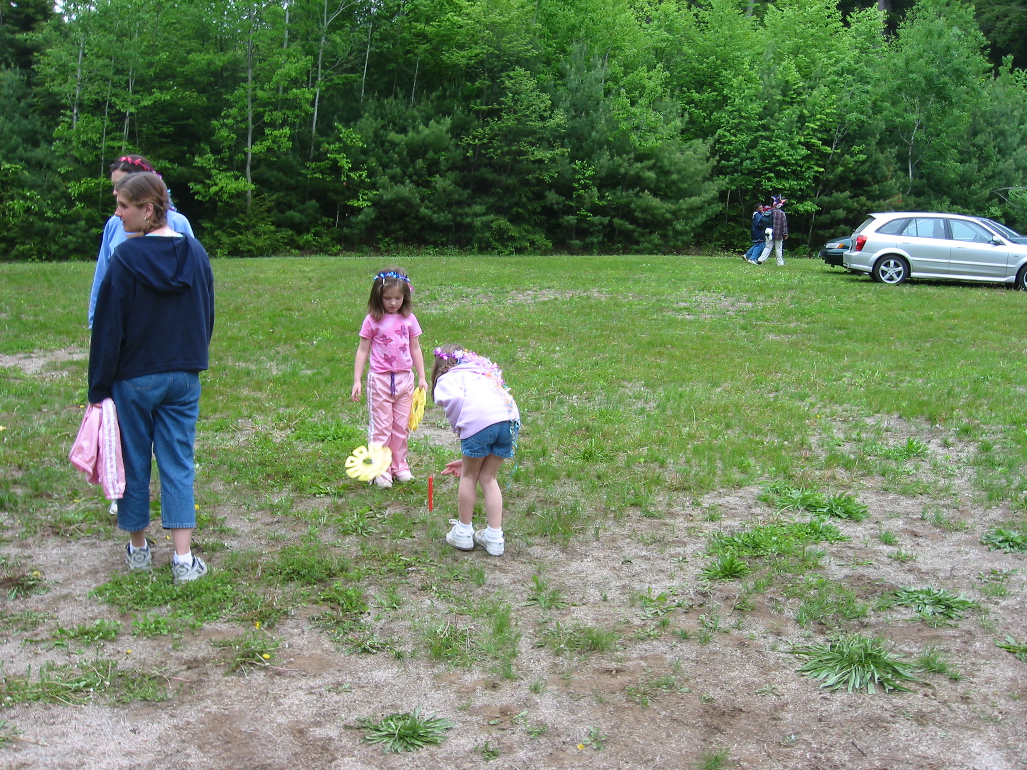 Image 2 of 49  -  1454 kB
