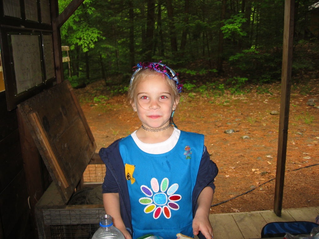 Image 34 of 49  -  243 kB