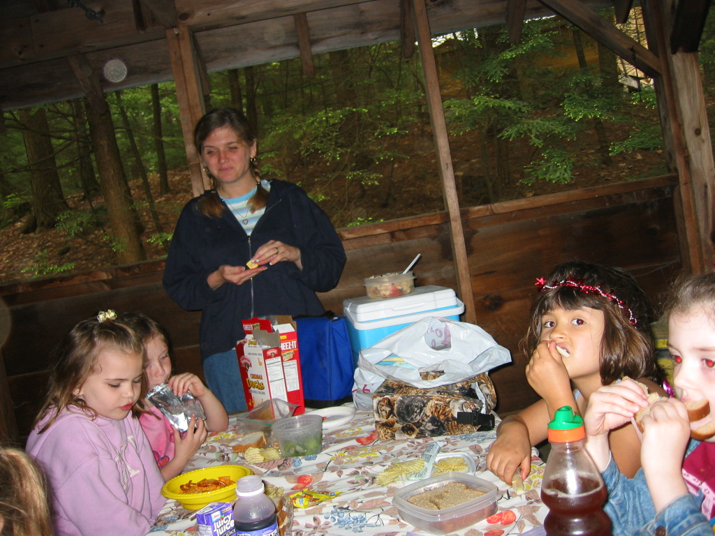 Image 36 of 49  -  289 kB