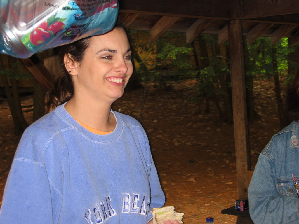 Image 39 of 49  -  225 kB