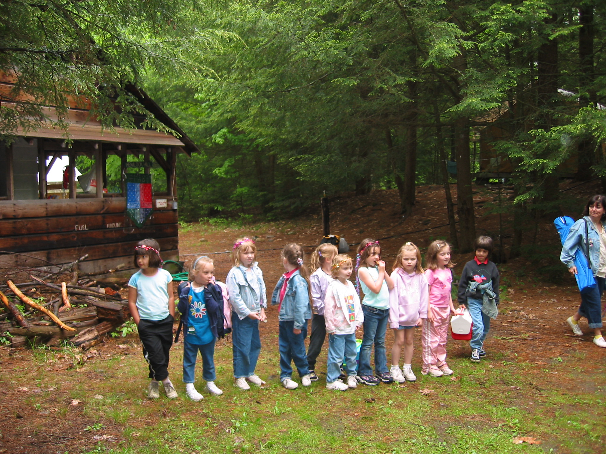 Image 45 of 49  -  1247 kB