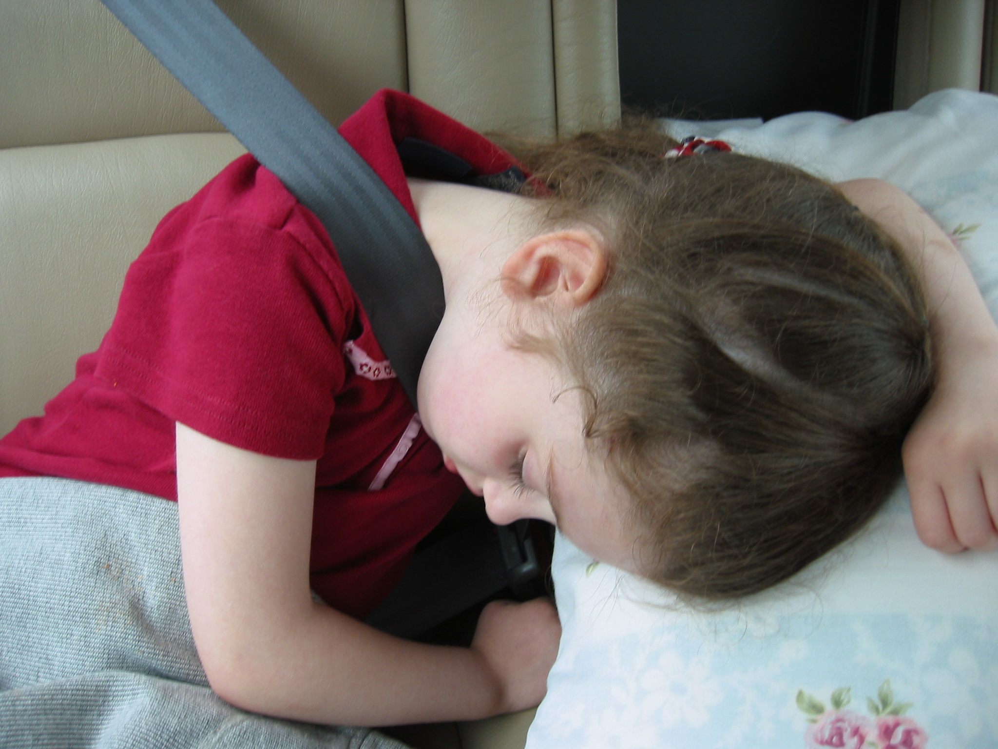 Image 49 of 49  -  606 kB