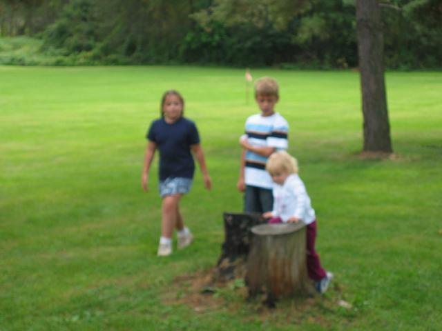 101-0143_IMG