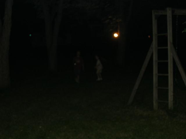 100-0009_IMG