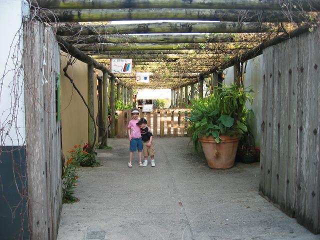 110-1093_IMG