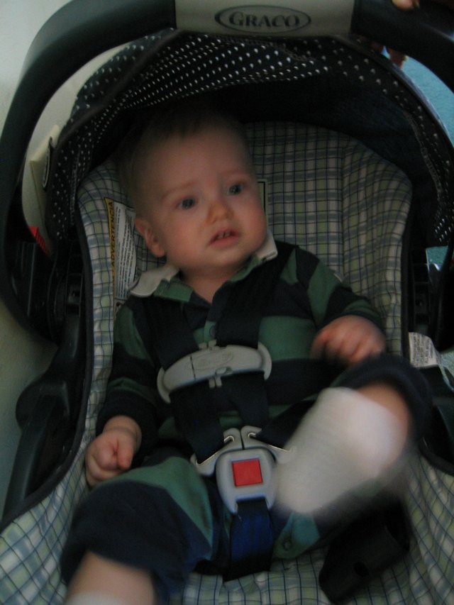 Image 5 of 29  -  74 kB