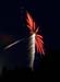2007_06_29 Fireworks_IMG023631