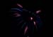 2007_06_29 Fireworks_IMG024225