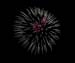 2007_06_29 Fireworks_IMG024303