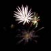 2007_06_29 Fireworks_IMG024704