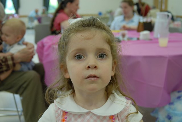 Image 92 of 109  -  73 kB