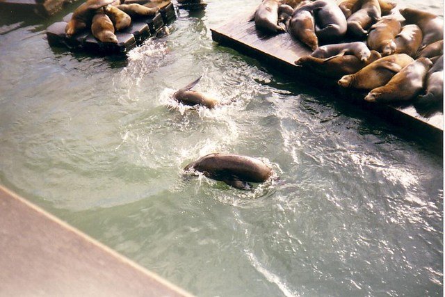 Image 40 of 57  -  77 kB