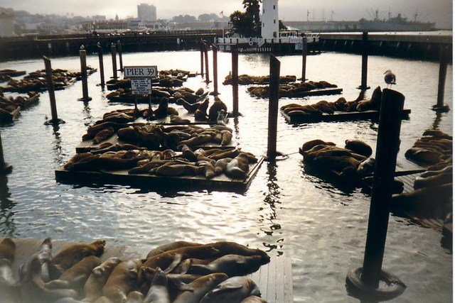 Image 41 of 57  -  84 kB