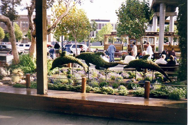 Image 42 of 57  -  102 kB