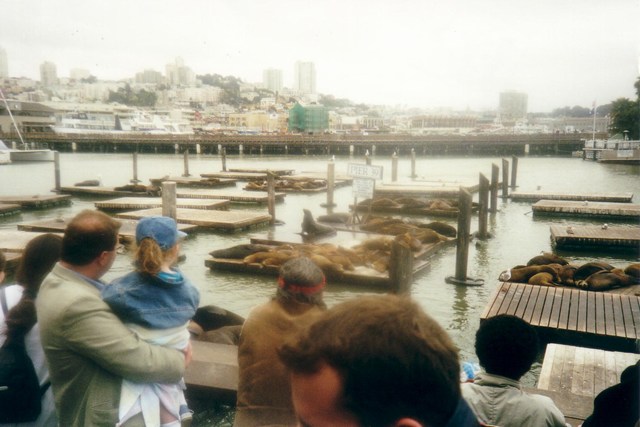 Image 7 of 42  -  63 kB