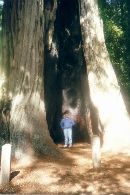 Image 27 of 42  -  73 kB