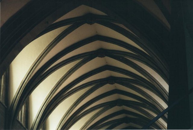 Image 49 of 181  -  44 kB