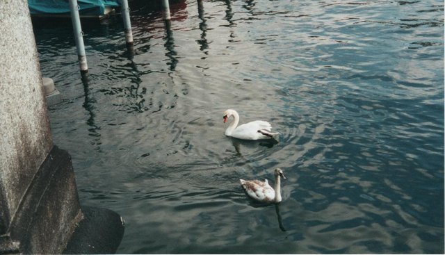 Image 181 of 181  -  58 kB