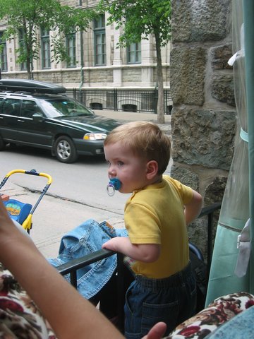 Image 42 of 337  -  50 kB