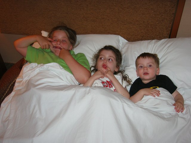 Image 168 of 337  -  48 kB