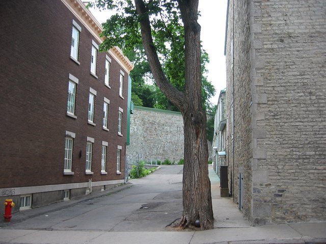 Image 203 of 337  -  84 kB