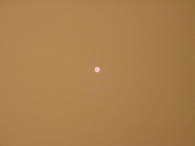 Image 333 of 337  -  9 kB