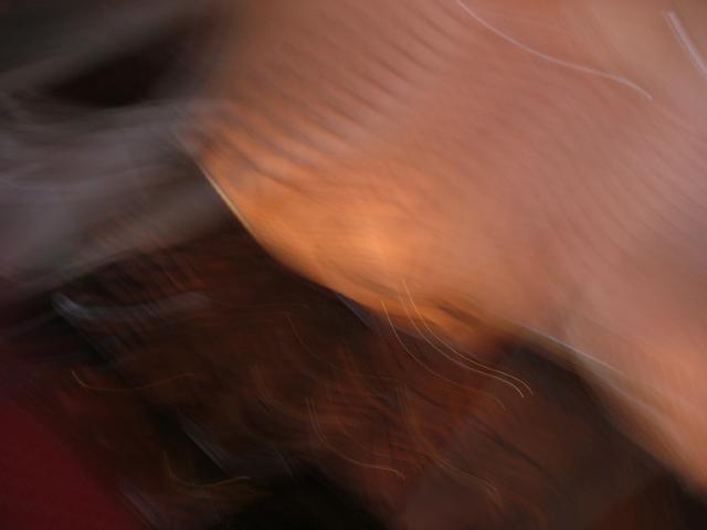 101-0170_IMG