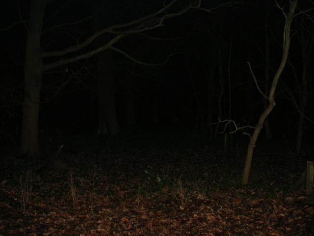 104-0433_IMG